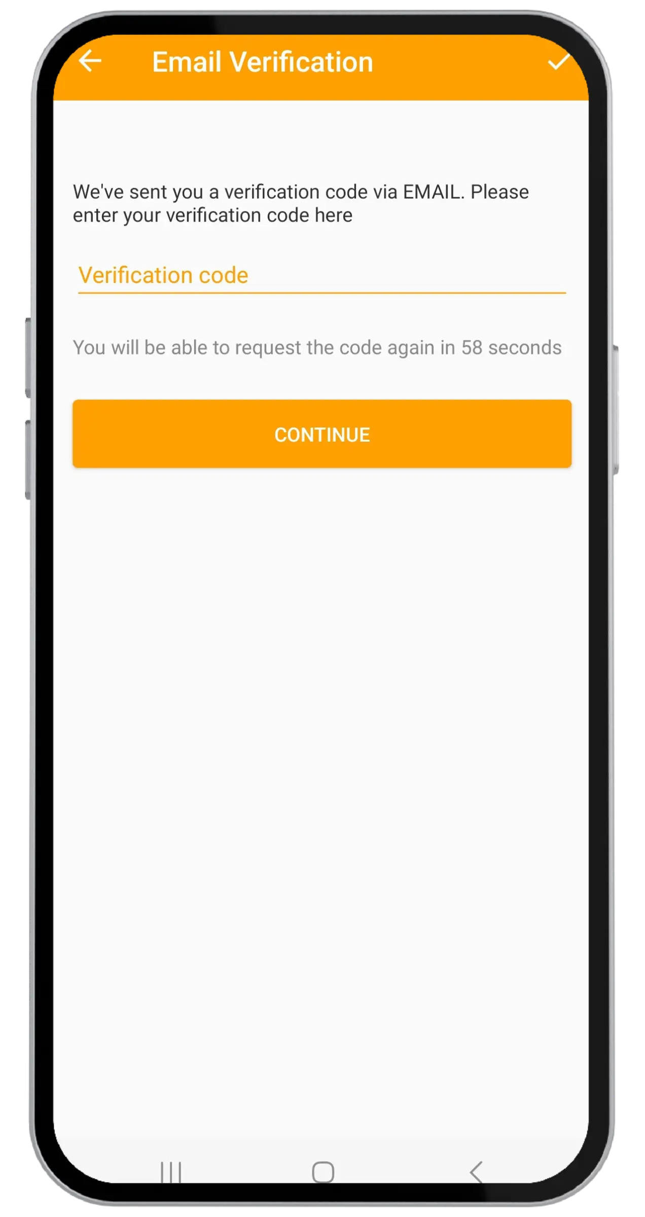 Verification code entry screen